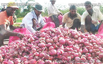 Import+tax+on+Big+Onion+increased+by+100+percent.