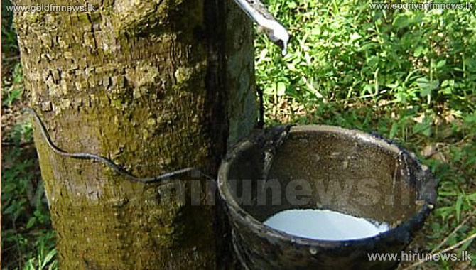  Stipulated price for raw rubber from April 01