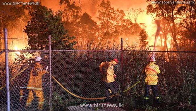 Bushfires+destroy+houses+in+Sydney