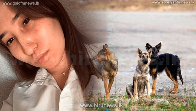 Beautician%27s+face+gnawed+off+by+pack+of+dogs+%28Photos%29