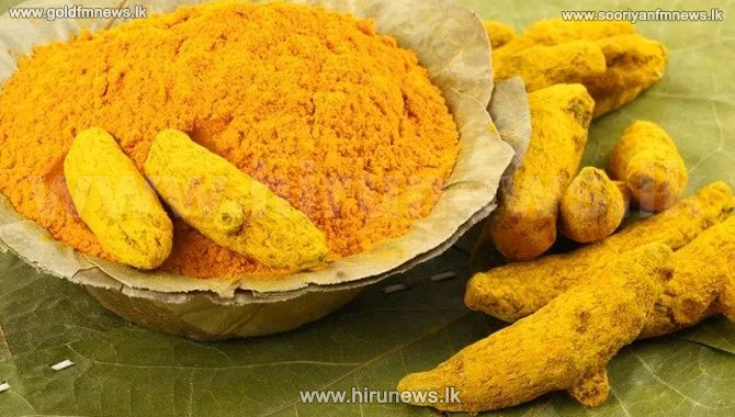 A+self-sufficient+Sri+Lanka+with+turmeric+by+2022+-+Export+Agriculture+Dept