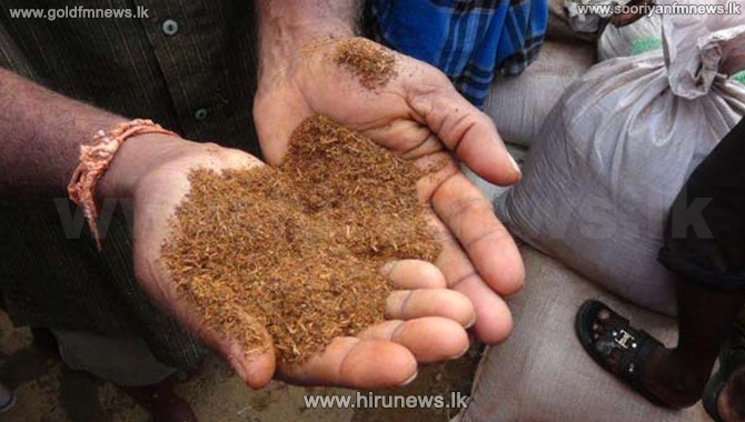 Refused Tea Seven arrested with 29,000kg of refuse tea - Hiru News - Srilanka's ...