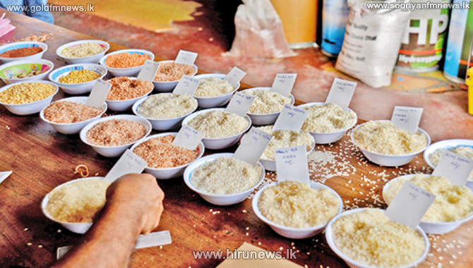Hiru Rice Maximum price set for Rice - Hiru News - Srilanka's Number One News ...