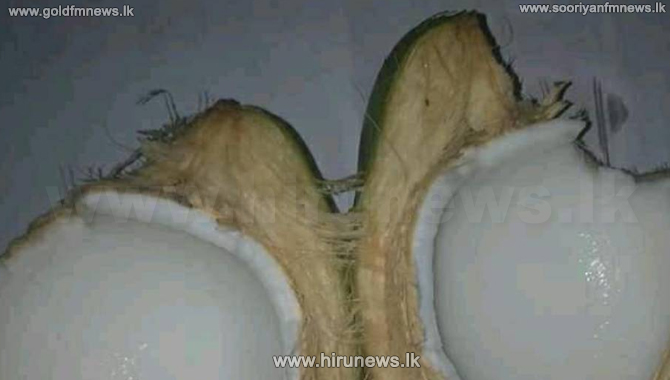 %E0%B6%B8%E0%B7%92%E0%B6%B1%E0%B7%94%E0%B7%80%E0%B6%B1%E0%B7%8A%E0%B6%9C%E0%B7%9C%E0%B6%A9+%E0%B6%B4%E0%B7%8F%E0%B7%83%E0%B6%BD%E0%B6%9A+%E0%B7%83%E0%B7%92%E0%B7%83%E0%B7%94%E0%B7%80%E0%B7%92%E0%B6%BA%E0%B6%9A%E0%B7%8A+%E0%B6%AF%E0%B7%92%E0%B7%80%E0%B7%8F+%E0%B6%86%E0%B7%84%E0%B7%8F%E0%B6%BB%E0%B6%BA%E0%B6%A7+%E0%B6%B4%E0%B7%9C%E0%B6%BD%E0%B7%8A+%E0%B6%B8%E0%B6%AF+%E0%B6%9A%E0%B6%BA%E0%B7%92+%28%E0%B7%80%E0%B7%93%E0%B6%A9%E0%B7%92%E0%B6%BA%E0%B7%9D%29