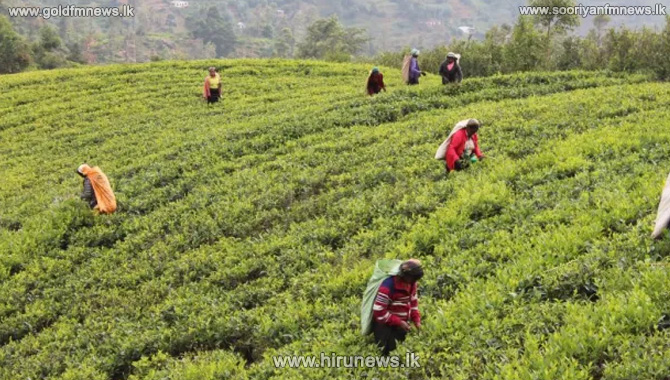 Committee to seek how best to integrate the Tamils of Hill Country ...