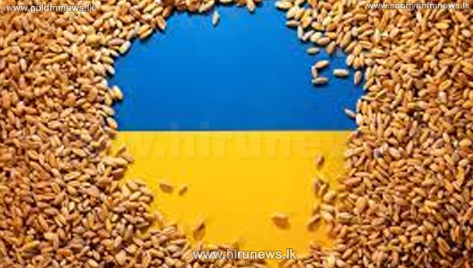 Ukraine, partners launch $150 million grain export plan to help vulnerable nations