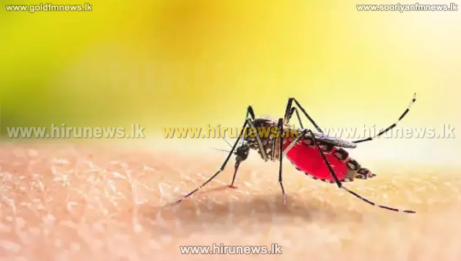 Bangladesh+dealing+with+worst+dengue+fever+outbreak+-+claims+nearly+300+lives%2C+over+60%2C000+infected