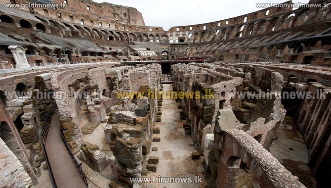 Rome+moves+to+clear+rats+out+of+Colosseum+area
