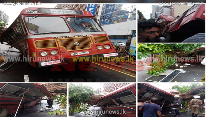 Duplication Road: Tree falls on bus 17 Passengers injured, road blocked ...
