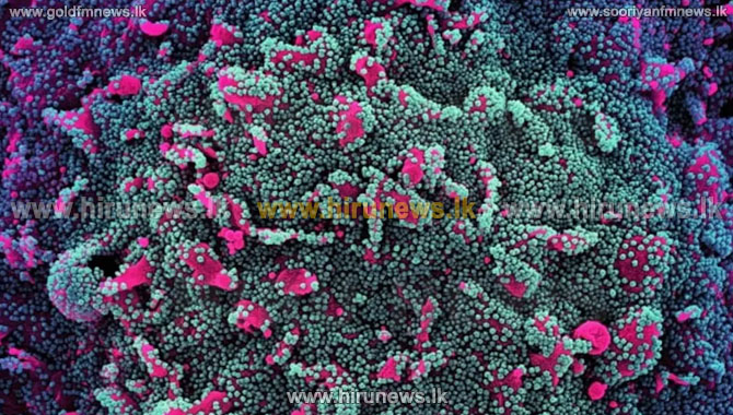 Covid variant JN.1 detected in Kerala: All you need to know about the ...