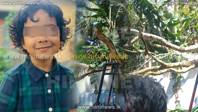 A 5-year-old child killed in a freak accident at an International ...