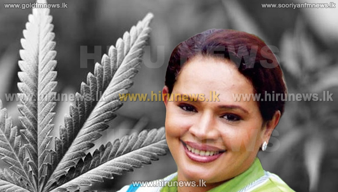 Cabinet+approval+for+Cannabis+cultivation+was+given+in+2023+-+State+Minister+