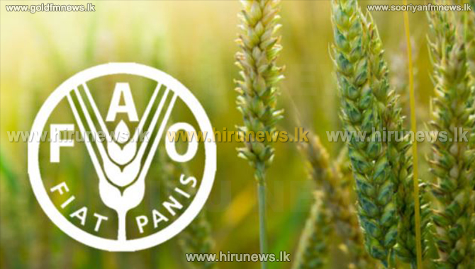 37th+Asia+Pacific+Regional+Conference+of+FAO+will+be+held+in+Sri+Lanka