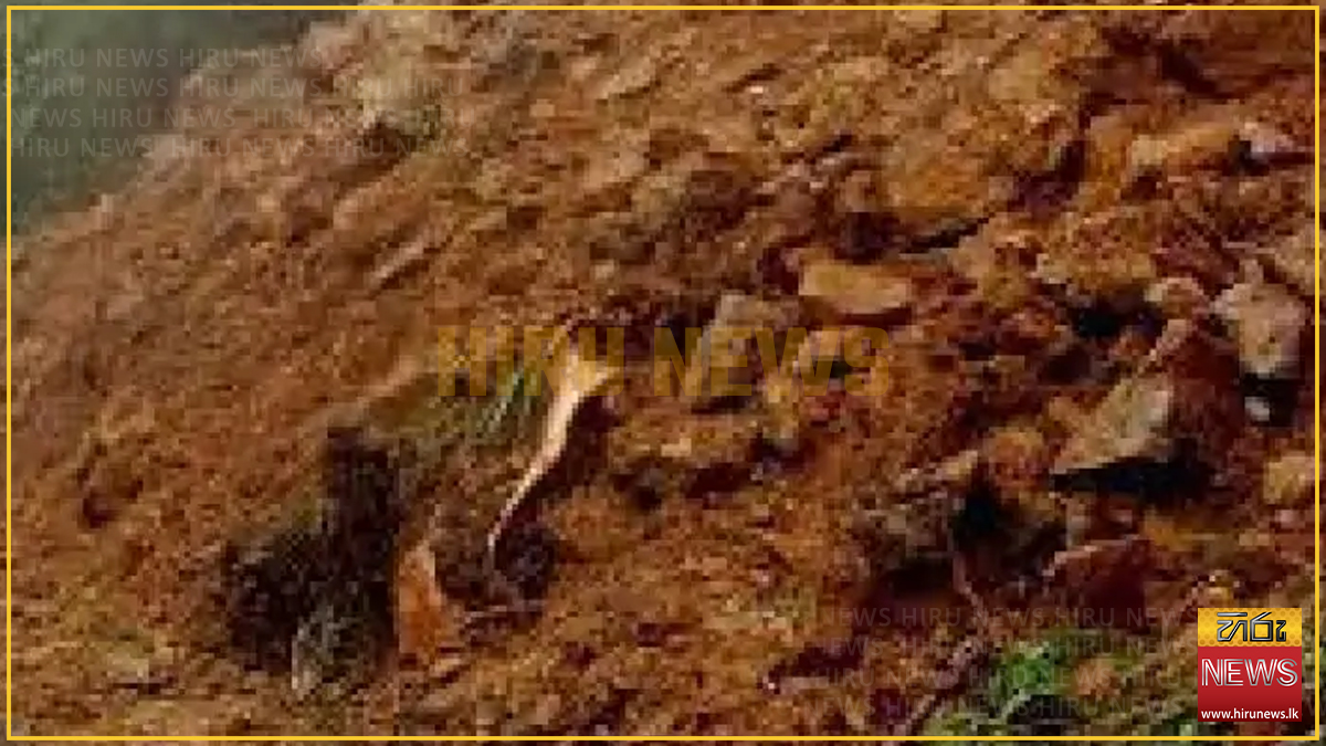 Soil+businessman+dies+in+Kurunegala+earth+mound+collapse