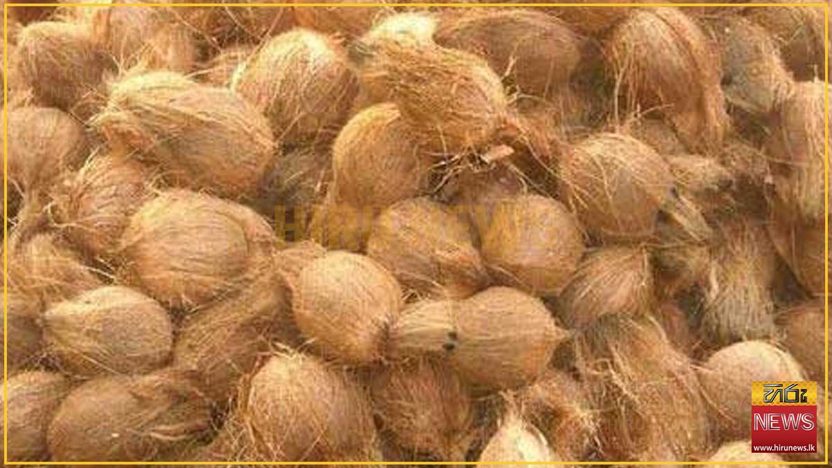 Coconut+prices+soar+above+Rs.+150+in+some+areas