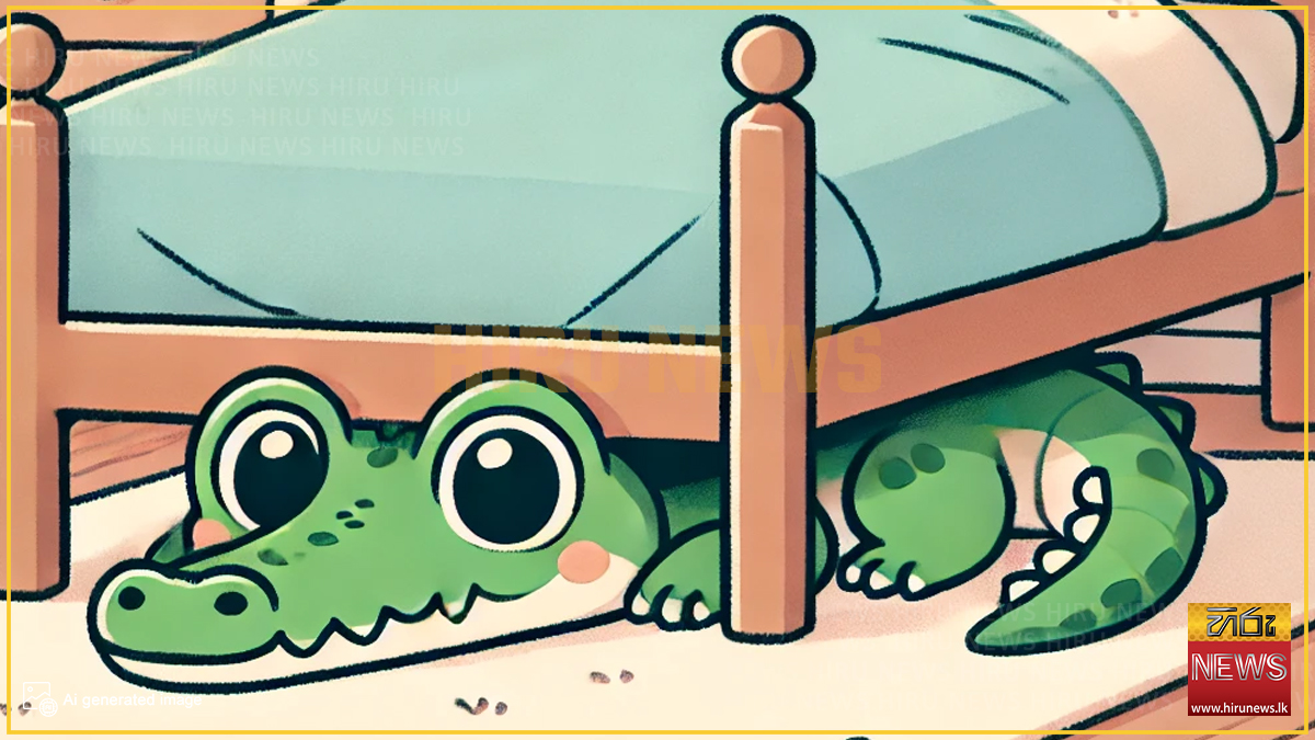 Crocodile invades home in Vavuniya - Hiru News - Srilanka's Number One