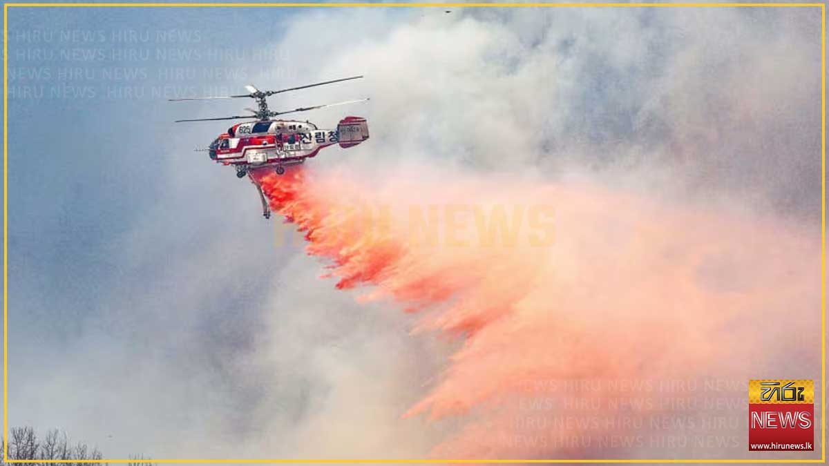 South+Korea+firefighting+helicopter+crashes%2C+killing+pilot