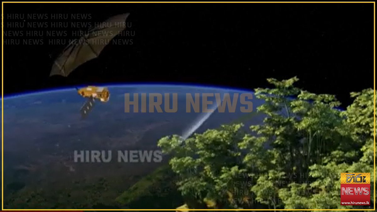 පෘථීවියේ වනාන&#x