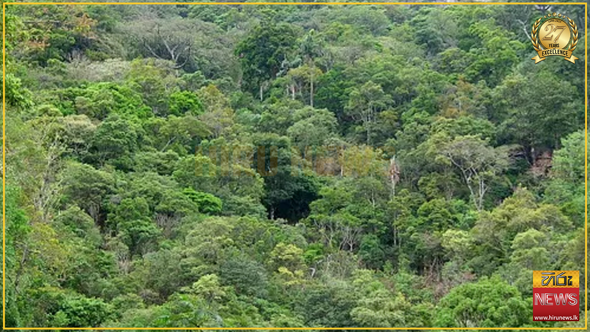 SRI LANKA LAUNCHES “VANASPATHI” NATIONAL FOREST CONSERVATION PROGRAMME ...