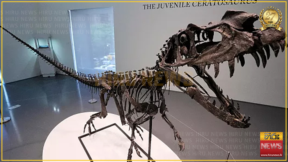 RARE+DINO+FOSSIL+SELLS+AT+RECORD+USD+30.5+MN