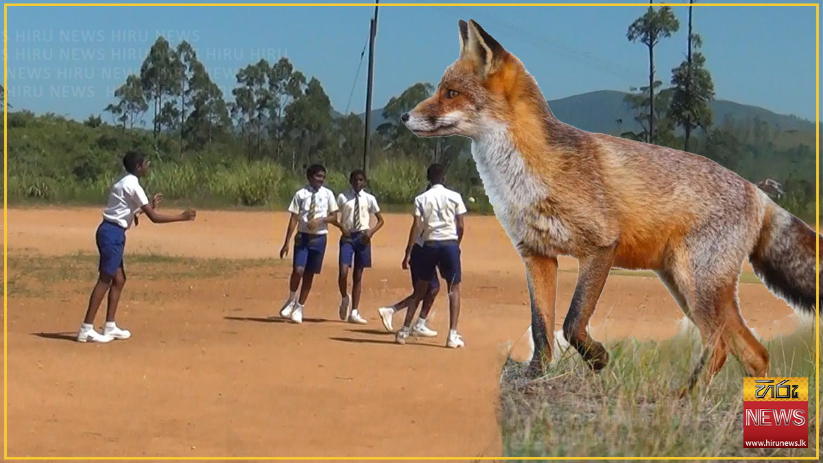 හැටන් පාසලකට නරින්ගෙන් කරදර - Hiru News - Srilanka's Number One News ...