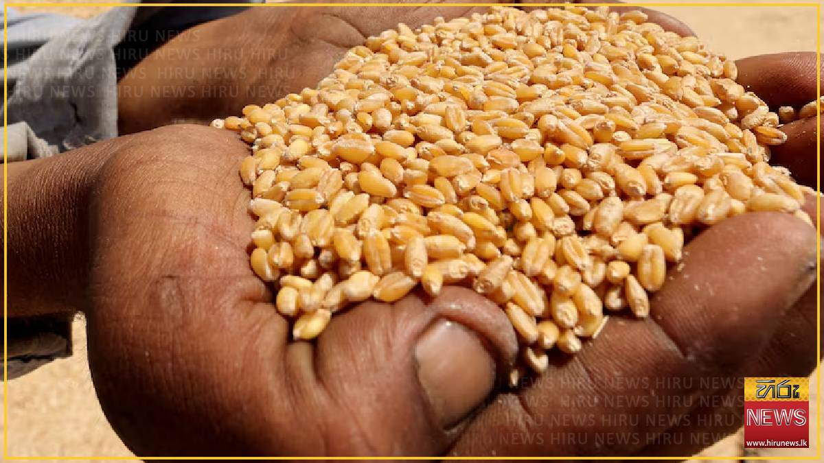 World food prices dip as falls in sugar and dairy offset new high for meat