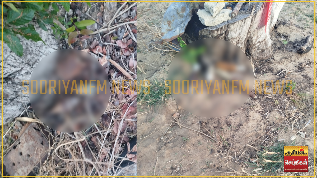 தமிழர் பகுதியில் வெடிக்காத நிலையில் குண்டுகள் சில மீட்பு