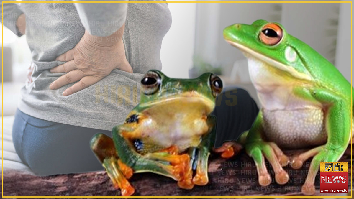 Chinese woman swallows 8 small live frogs for lower back pain