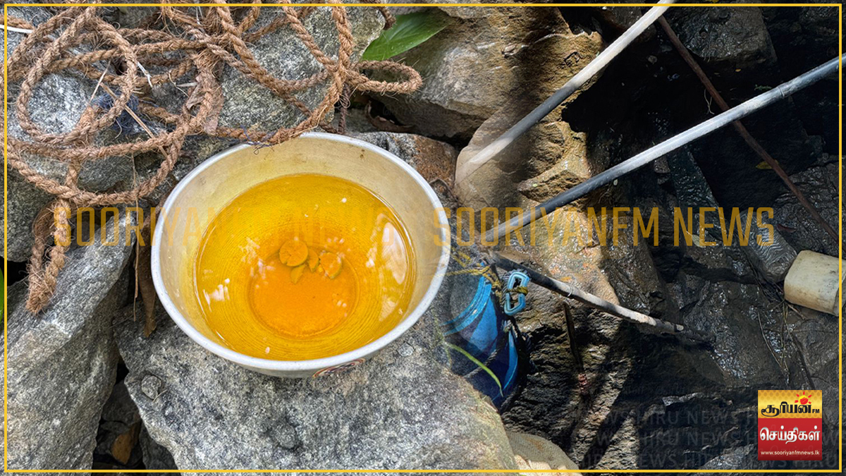 சட்ட விரோதமாக புதையல் தோண்டிய குடும்பத்தினர் கைது