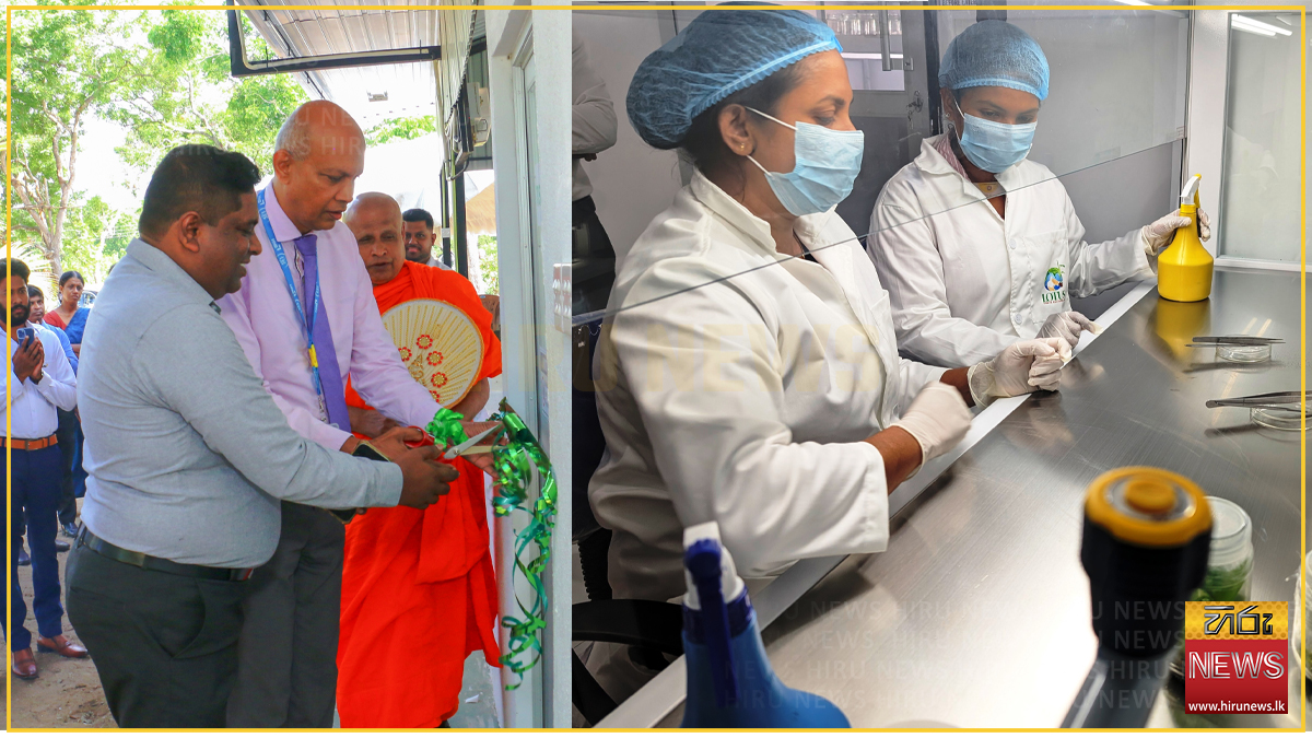 Lanka%E2%80%99s+first+export-oriented+private+tissue+culture+lab+opens+in+Nikaweratiya