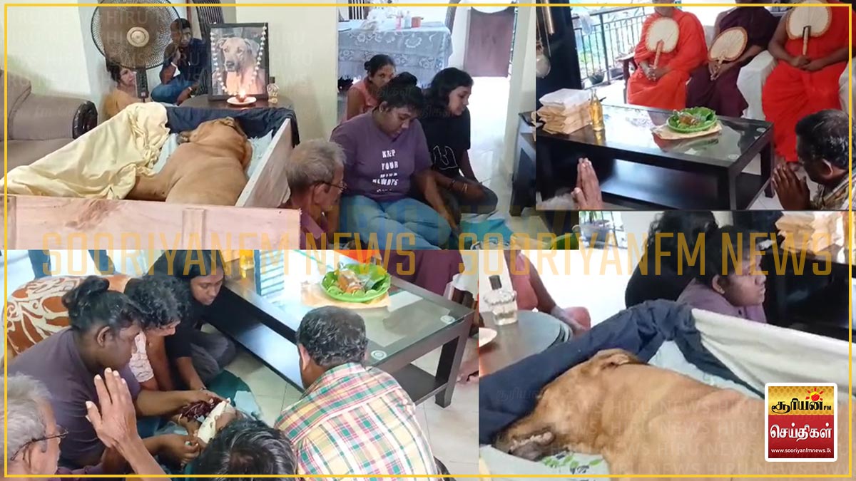 இறுதி கிரியையுடன் விடைகொடுத்தார் ரெக்ஸ் 