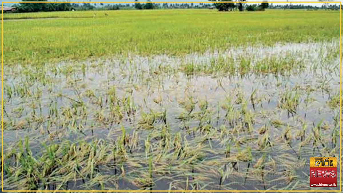 President+urges+speedy+compensation+for+Anuradhapura+farmers