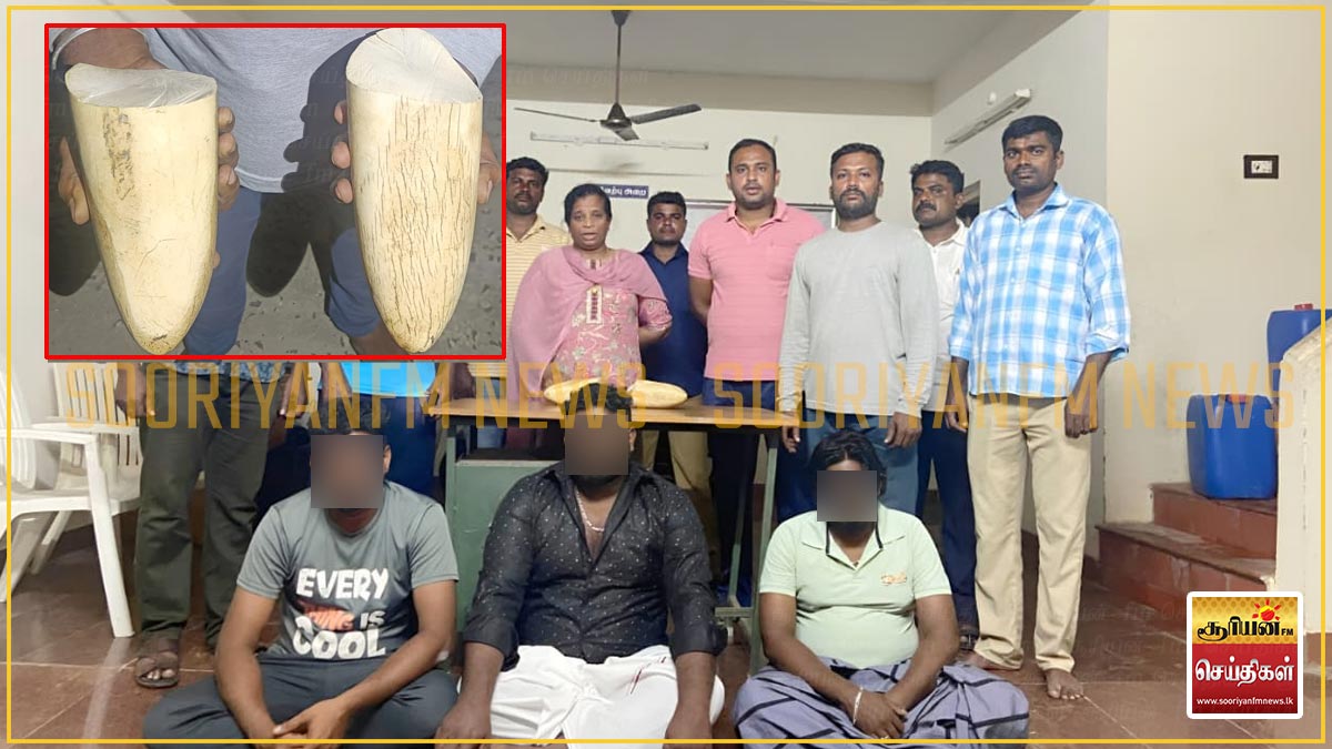 தமிழகத்திலிருந்து இலங்கைக்குக் கடத்த முயன்ற யானை தந்தங்கள்: எவ்வளவு ...