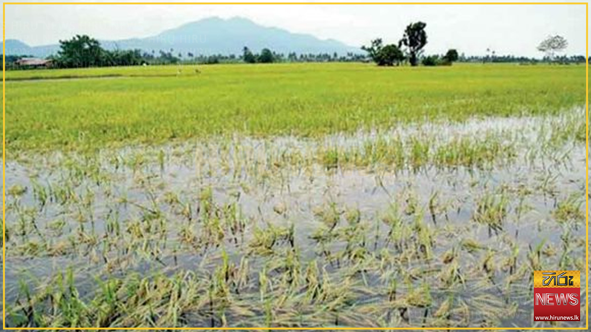 Disaster+crop+damage+compensation+approved