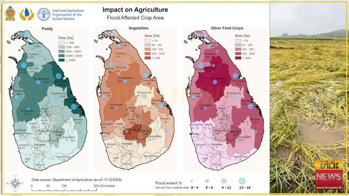 Floods cause widespread damage to Lanka’s agriculture - FAO - Gold FM ...
