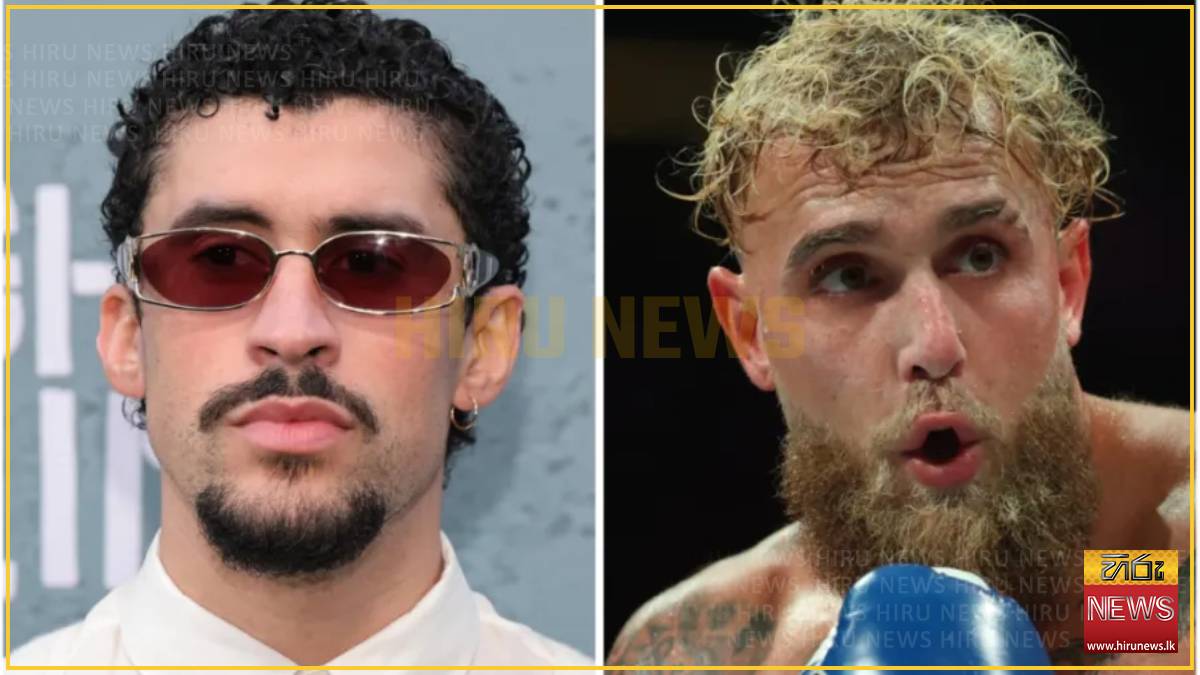 Jake Paul calls Bad Bunny a ‘fake American’ - Hiru News - Srilanka's ...