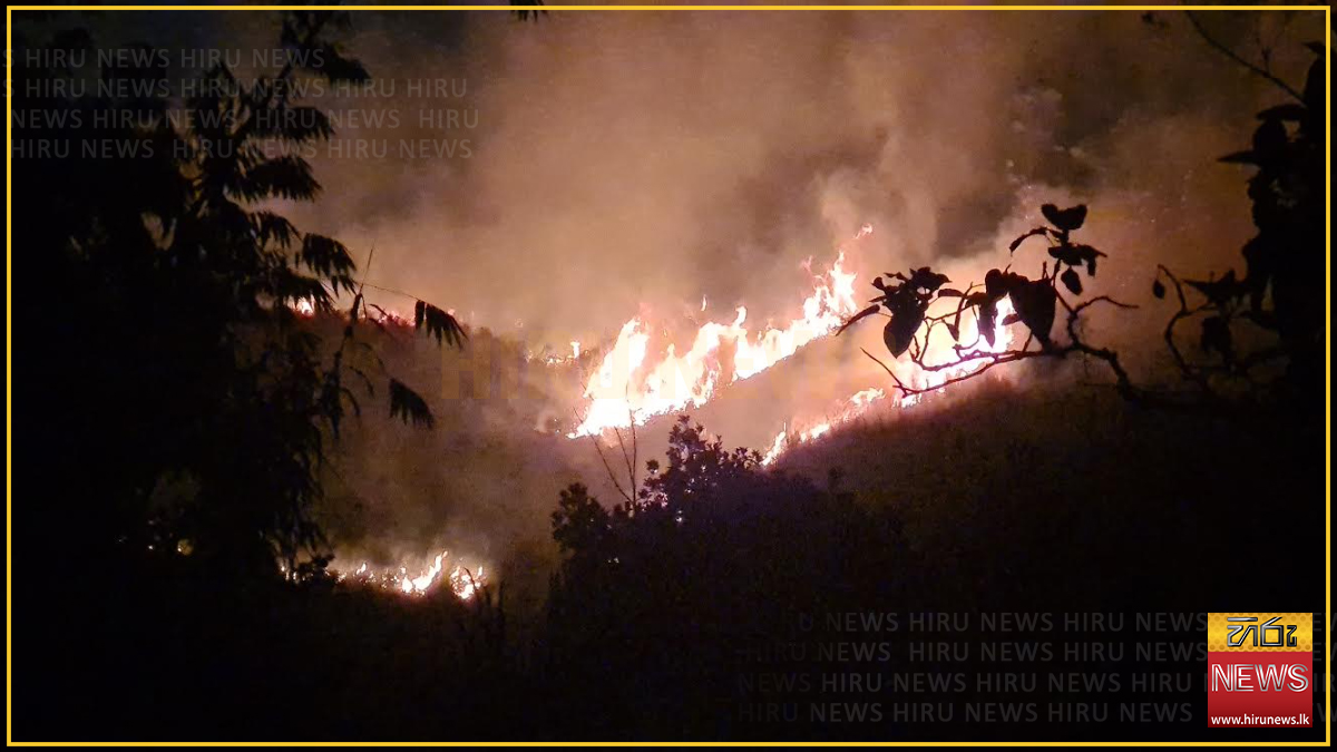 Loggill+forest+reserve+destroyed+by+fire