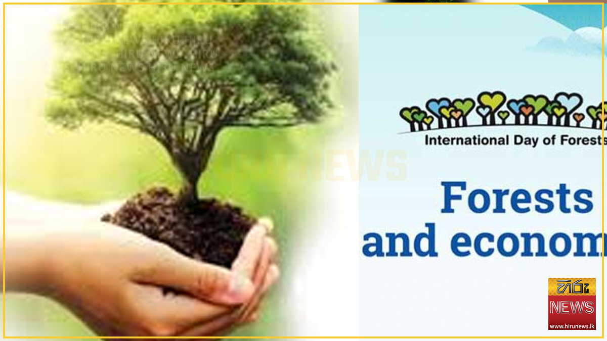 International+Day+of+Forests+observed+today