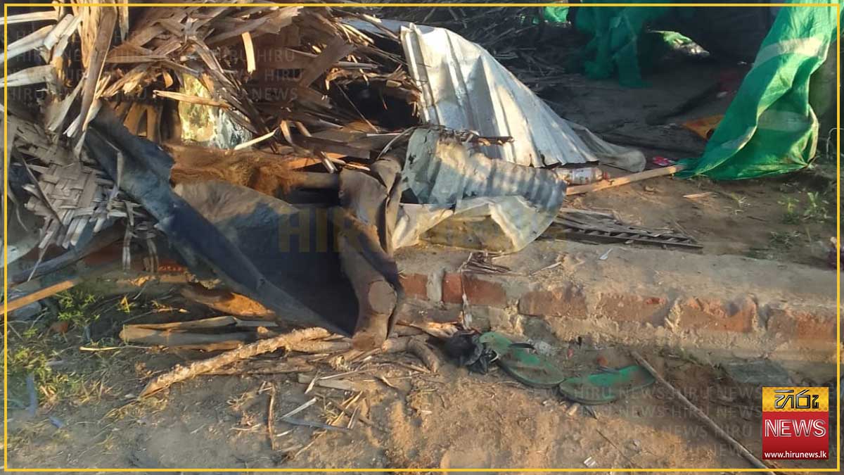Man+dies+in+wild+elephant+attack+in+Aiththiyamalai