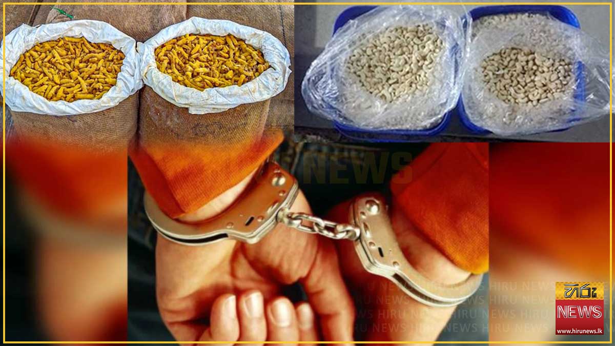 Suspect+arrested+with+smuggled+turmeric+and+cashews