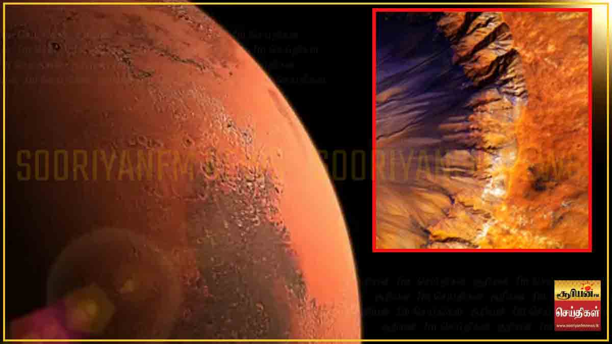 செவ்வாய் கிரகத்தில் உயிர் பிழைக்க முடியுமா? வியக்க வைக்கும் புதிய ஆய்வு!