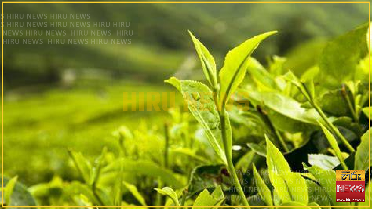 Tea+planters+call+for+price+reductions+over+inefficient+subsidies