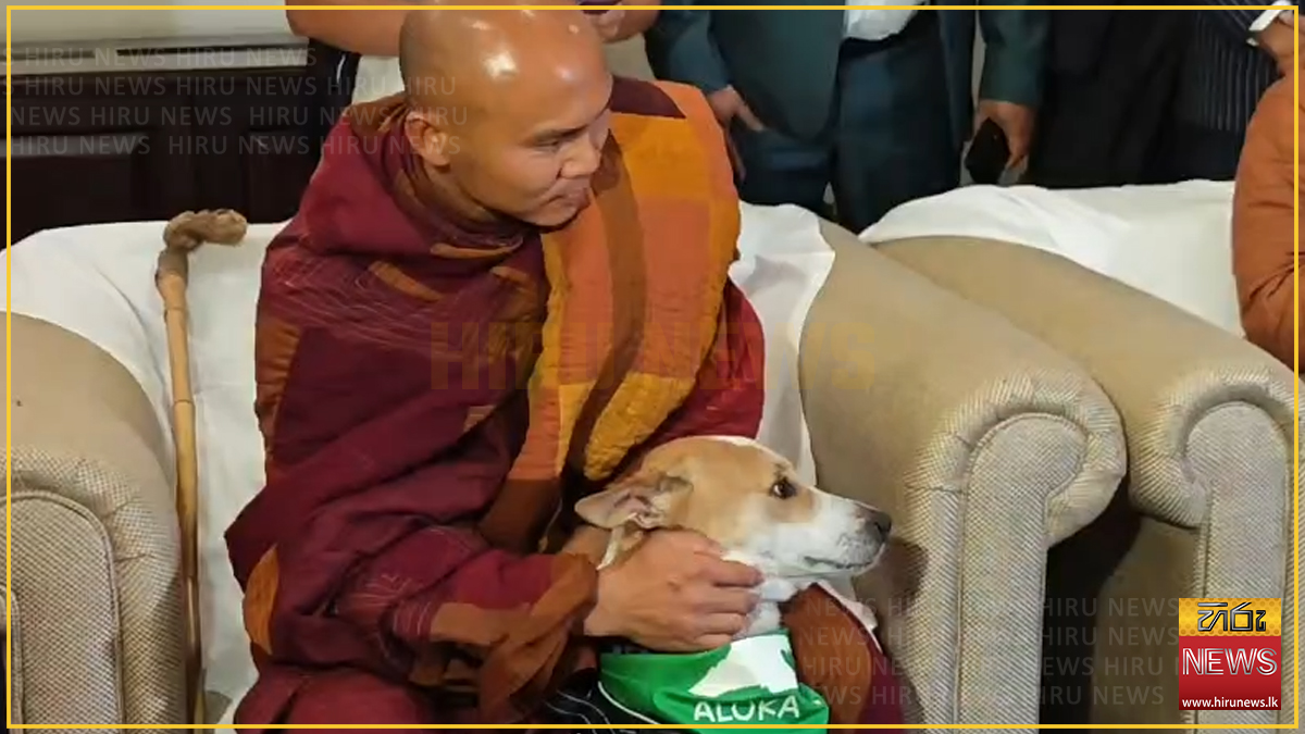 සාමයේ පණිවිඩය ලොවට ගෙන යන ජාත්‍යන්තර සාම පා ගමනට සියල්ල සූදානම් හිමිවරුන් සමග සාමයේ සුරතලා ආලෝකාත් දිවයිනට