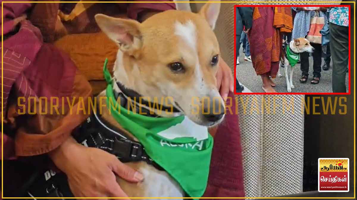 சர்வதேச அமைதி நடைப்பயணம் இன்று ஆரம்பம்: அலோகாவும் வருகை