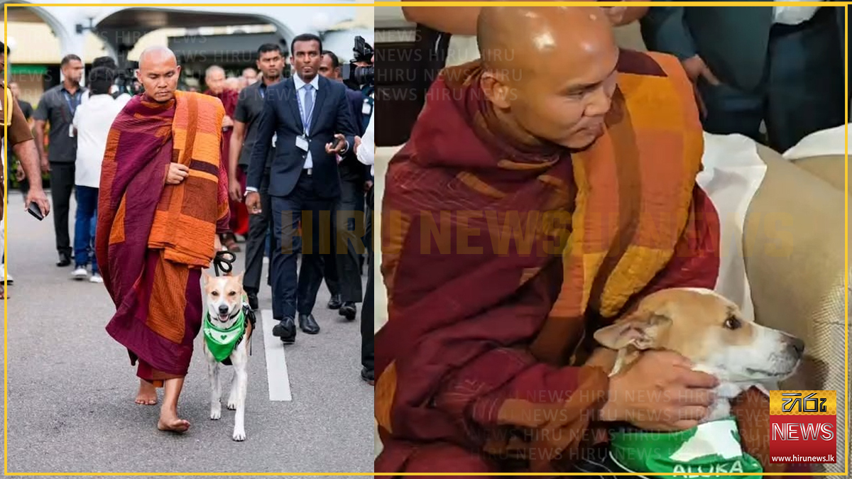 සාම පාගමනේ වඩින භික්ෂූන් වහන්සේලා අත්තනගල්ල රජමහා විහාරයට