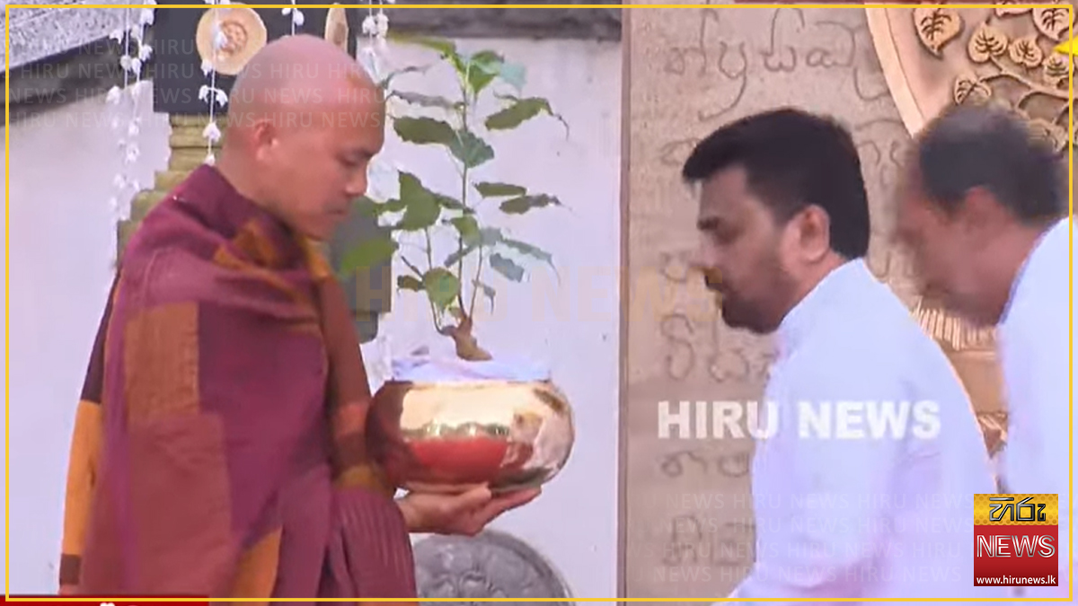 සාම පාද යාත්‍රාව නිදහස් චතුරස්‍රයෙන් නිම වෙයි