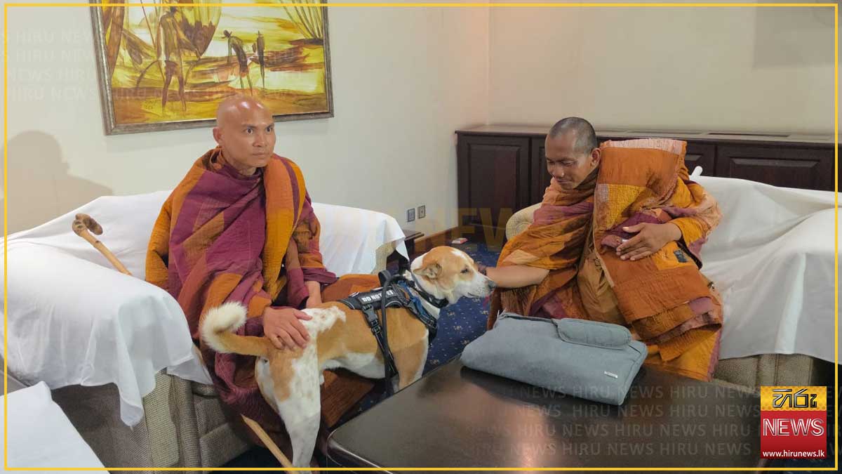 ඒහිපස්සිකෝ සාම පා ගමන නිමා කර හිමිවරු දිවයිනෙන් පිටත්ව යති