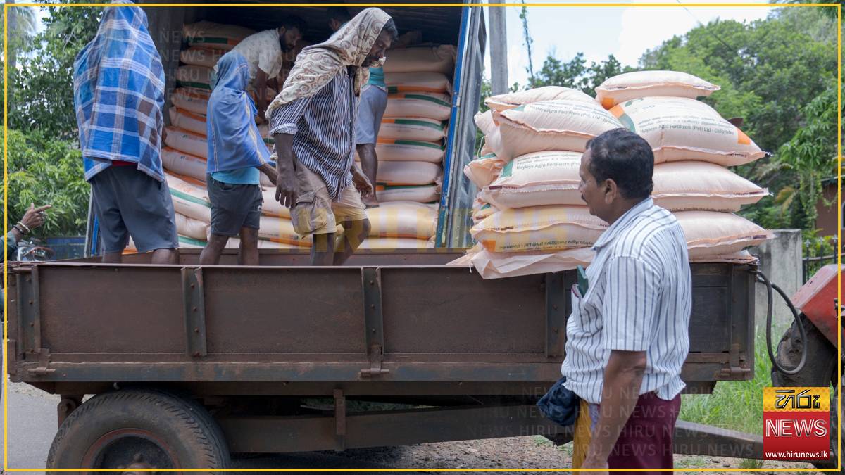 FAO Delivers Fertilizer Support to Cyclone-Affected Paddy Farmers