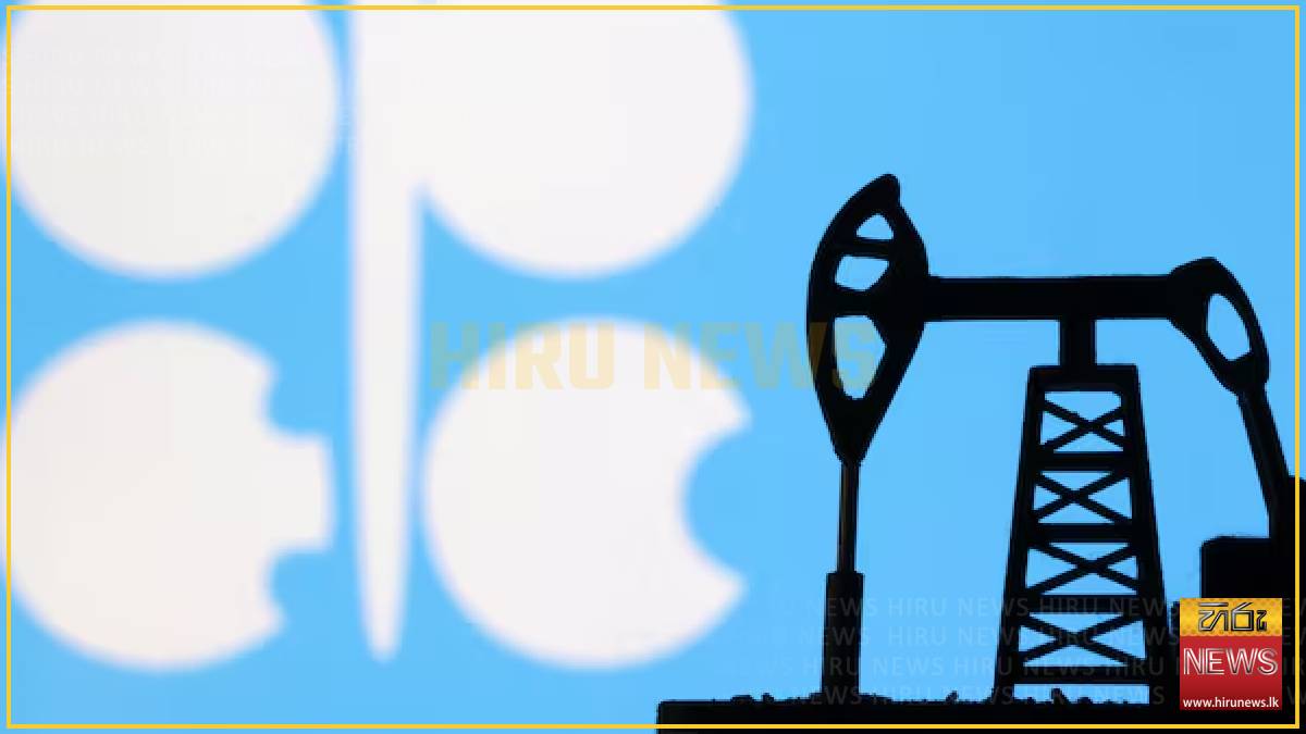 UAE reviewing multilateral ties after OPEC exit