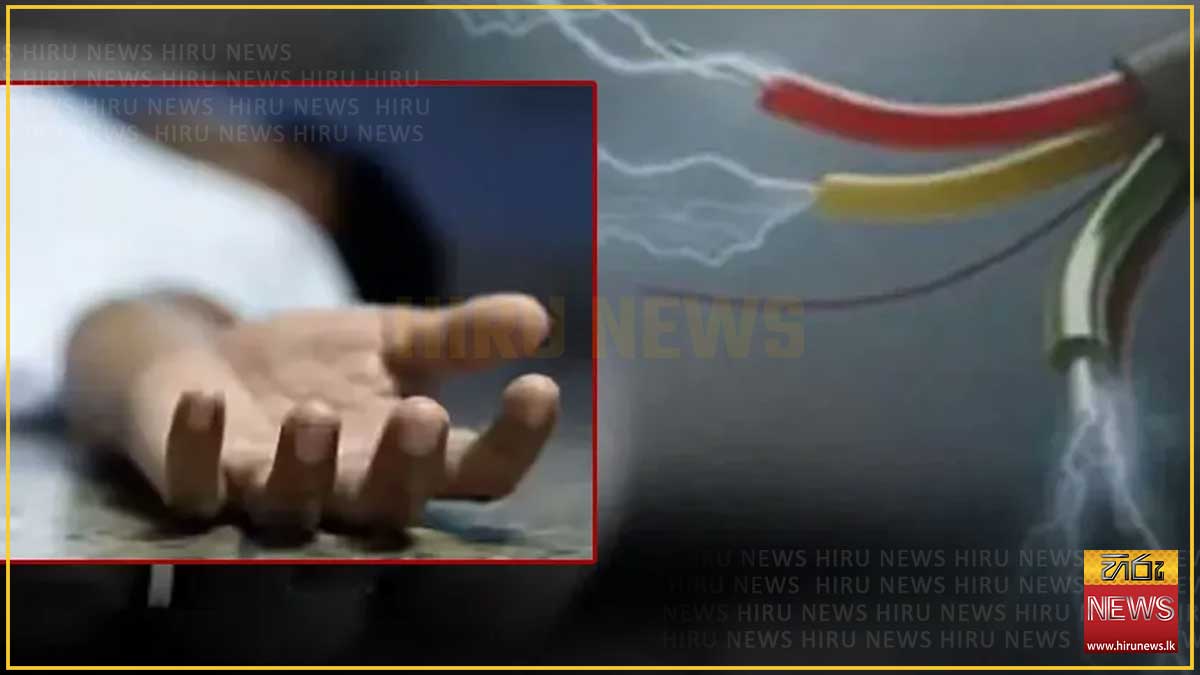 ඇන්ටනා රැහැනකින් විදුලිසැර වැදී තලාතුඔය කාන්තාවක් මියයයි